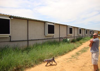 Weaner and Farrowing Houses at Willem De Chavonnes Vrugt (1)