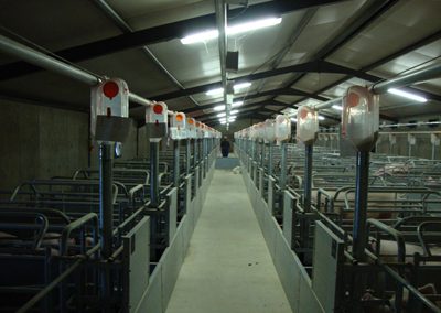 Weaner and Farrowing Houses at Willem De Chavonnes Vrugt (11)