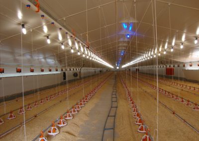 Wonway Construction Poultry Gallery