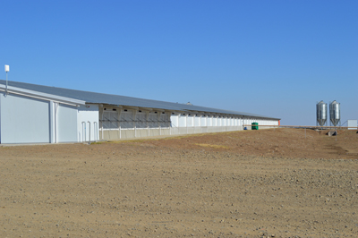 Johan Claasen – Environmenatl Controlled Broiler Houses Freestate