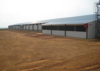 NWK Broiler Breeder Farm (1)