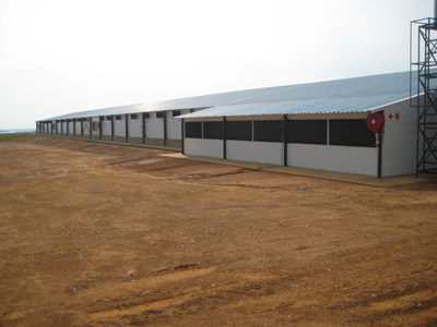 NWK Broiler Breeder Farm