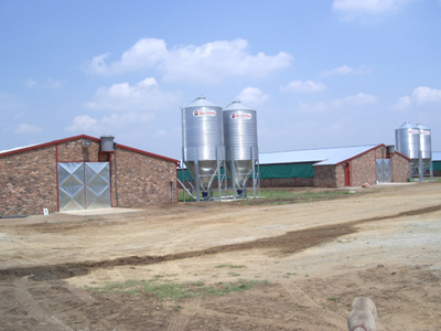 Saxo – Natural Ventilated Poultry House