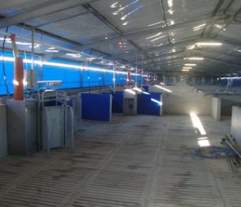 650-Sow-unit-at-Zandam-5-400×284