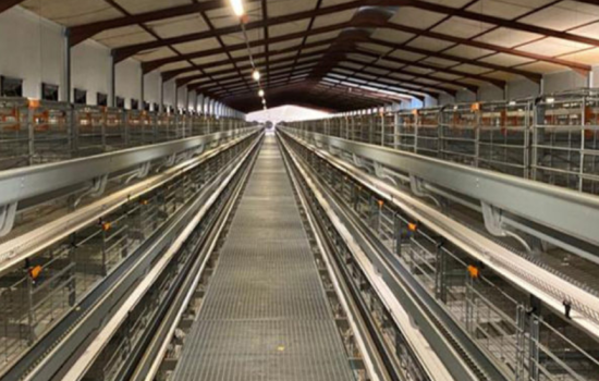 Welkom Conshara Farms