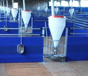 Wonway-Pig-farm-Housing-400×284